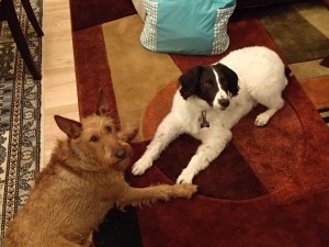 new BFFs, Ro & Marty