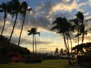 Goodbye Wailea